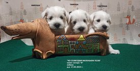 imgonline-com-ua-Resize-5LQHPHE8tIrgPz.jpg (216.84 КБ, Просмотров: 10751) imgonline-com-ua-Resize-5LQHPHE8tIrgPz.jpg