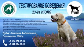 IMG-20240712-WA0010.jpg (220.25 КБ, Просмотров: 4169) IMG-20240712-WA0010.jpg