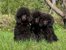 bJmaAU4rOv8.jpg (715.07 КБ, Просмотров: 3968) bJmaAU4rOv8.jpg