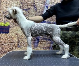 Screenshot_20241021_160623_com.huawei.photos_edit_179479168721949.jpg (680.11 КБ, Просмотров: 3573) Screenshot_20241021_160623_com.huawei.photos_edit_179479168721949.jpg