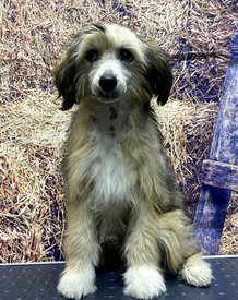 Screenshot_20241021_160614_com.huawei.photos_edit_179657332749746.jpg (685.6 КБ, Просмотров: 3375) Screenshot_20241021_160614_com.huawei.photos_edit_179657332749746.jpg