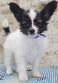 3.3.jpg (163.86 КБ, Просмотров: 2064) 3.3.jpg