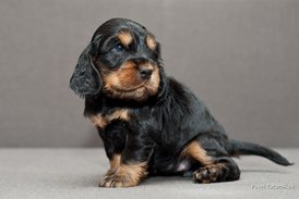 DSC_0023.jpg (130.8 КБ, Просмотров: 3068) DSC_0023.jpg