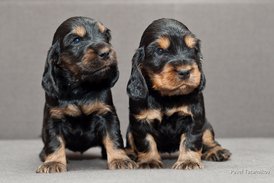 DSC_0039.jpg (154.62 КБ, Просмотров: 3057) DSC_0039.jpg