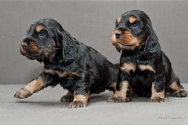 DSC_0033.jpg (158.44 КБ, Просмотров: 3073) DSC_0033.jpg