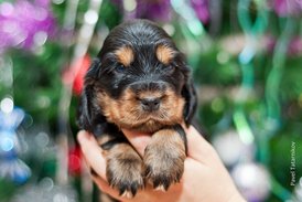 DSC_0138.jpg (172.03 КБ, Просмотров: 3057) DSC_0138.jpg