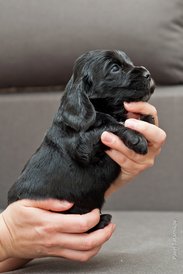 DSC_0131.jpg (149.75 КБ, Просмотров: 2886) DSC_0131.jpg