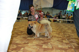 сандра1.jpg (64.63 КБ, Просмотров: 18309) сандра1.jpg