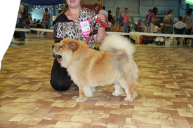 сандра11.jpg (67.86 КБ, Просмотров: 18308) сандра11.jpg