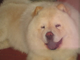 веня.jpg (33.03 КБ, Просмотров: 18307) веня.jpg