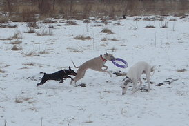 getIапвававmage.jpeg (136.21 КБ, Просмотров: 2287) getIапвававmage.jpeg