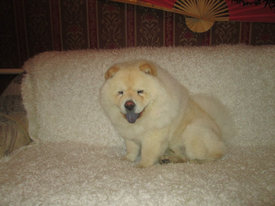 веня1.jpg (46.6 КБ, Просмотров: 18308) веня1.jpg