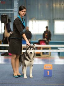 ea07c94099e8.jpg (29.14 КБ, Просмотров: 4698) ea07c94099e8.jpg