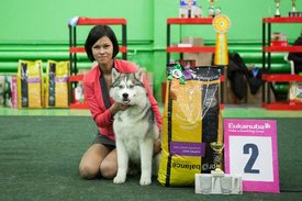 d6167f8125bc.jpg (83.32 КБ, Просмотров: 4677) d6167f8125bc.jpg