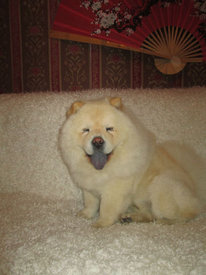 веник.jpg (29.87 КБ, Просмотров: 18307) веник.jpg