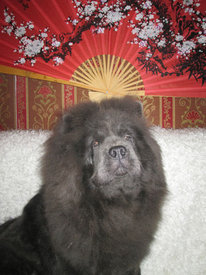 гол.jpg (46.11 КБ, Просмотров: 18306) гол.jpg