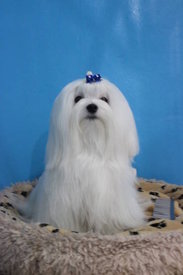 rkO3E.jpg (15.62 КБ, Просмотров: 1346) rkO3E.jpg