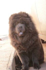 гггг.jpg (23.37 КБ, Просмотров: 18306) гггг.jpg