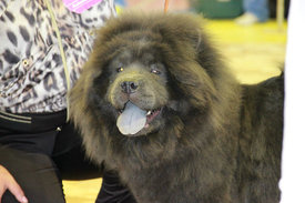 гггггг.jpg (50.67 КБ, Просмотров: 18306) гггггг.jpg