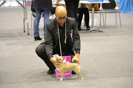 IMG_2014012_19167_81.jpg (153.15 КБ, Просмотров: 3716) IMG_2014012_19167_81.jpg