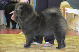 г1.jpg (48.63 КБ, Просмотров: 18306) г1.jpg