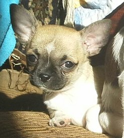 20140206_152850-2.jpg (102.6 КБ, Просмотров: 3713) 20140206_152850-2.jpg