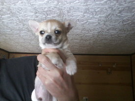 20140206_123219.jpg (435.33 КБ, Просмотров: 3711) 20140206_123219.jpg