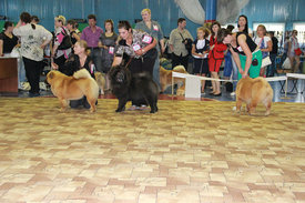 голу.jpg (76.03 КБ, Просмотров: 18305) голу.jpg