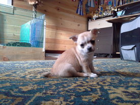 20140210_121343.jpg (909.01 КБ, Просмотров: 3692) 20140210_121343.jpg