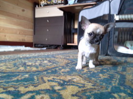 20140210_121202.jpg (687.93 КБ, Просмотров: 3692) 20140210_121202.jpg