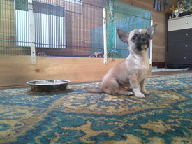 20140211_160808.jpg (906.38 КБ, Просмотров: 3683) 20140211_160808.jpg