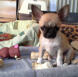 20140227_112601-1.jpg (375.64 КБ, Просмотров: 3664) 20140227_112601-1.jpg