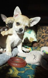 20140228_133104-1.jpg (641.93 КБ, Просмотров: 3660) 20140228_133104-1.jpg