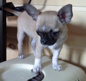 20140228_111516-1.jpg (216.82 КБ, Просмотров: 3660) 20140228_111516-1.jpg