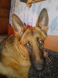 2014-01-25 13.31.04.jpg (345.74 КБ, Просмотров: 4847) 2014-01-25 13.31.04.jpg