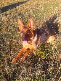 2013-09-27 18.03.00.jpg (775.67 КБ, Просмотров: 4840) 2013-09-27 18.03.00.jpg