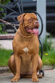 IMG_6893 копия.jpg (65.67 КБ, Просмотров: 1590) IMG_6893 копия.jpg