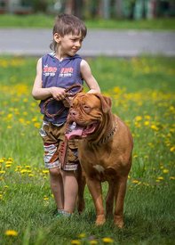 IMG_7287 копия.jpg (74.86 КБ, Просмотров: 1590) IMG_7287 копия.jpg