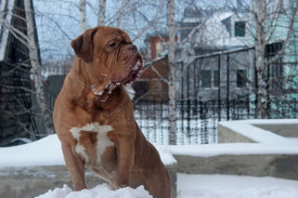 150Uz3pIt.jpg (56.31 КБ, Просмотров: 1590) 150Uz3pIt.jpg