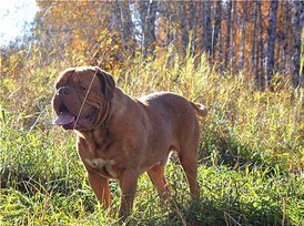 28069d7bc13a.jpg (149.99 КБ, Просмотров: 1590) 28069d7bc13a.jpg