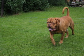 QfqeIGaI.jpg (213.67 КБ, Просмотров: 1590) QfqeIGaI.jpg