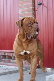 inРdex.php.jpg (19.12 КБ, Просмотров: 1573) inРdex.php.jpg