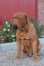 indДex.php.jpg (24.77 КБ, Просмотров: 1573) indДex.php.jpg