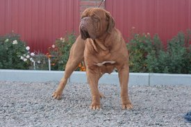 index.php.jpg (46.17 КБ, Просмотров: 1573) index.php.jpg