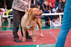 index.php.jpg (60.87 КБ, Просмотров: 1573) index.php.jpg