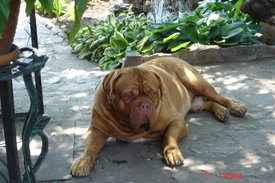 а.jpg (245.51 КБ, Просмотров: 1573) а.jpg