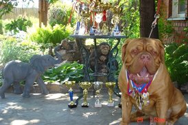 лб.jpg (174.32 КБ, Просмотров: 1573) лб.jpg