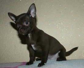 02_12_2013-21_19_49.jpg (154.76 КБ, Просмотров: 1581) 02_12_2013-21_19_49.jpg