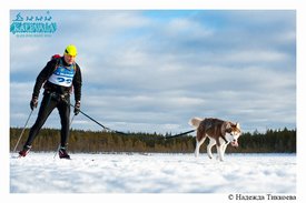 i15717-icon-middle.jpg (76.85 КБ, Просмотров: 4724) i15717-icon-middle.jpg