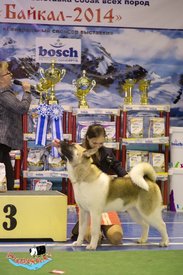 6521423d6a16.jpg (84.33 КБ, Просмотров: 6152) 6521423d6a16.jpg